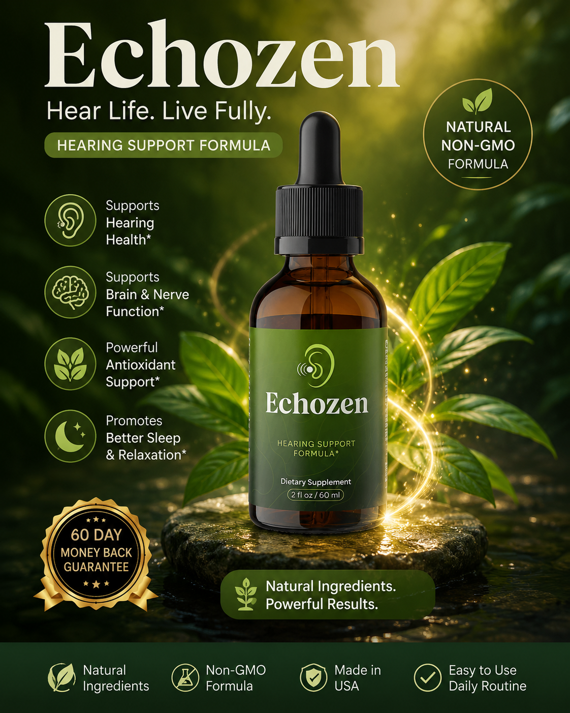 Echozen reviews 
